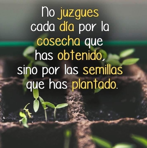 gonzalez_miguel